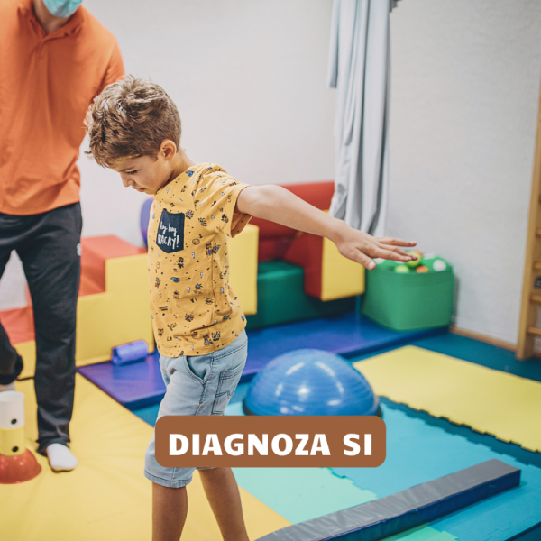 Diagnoza SI Poradnia NEMO Opole
